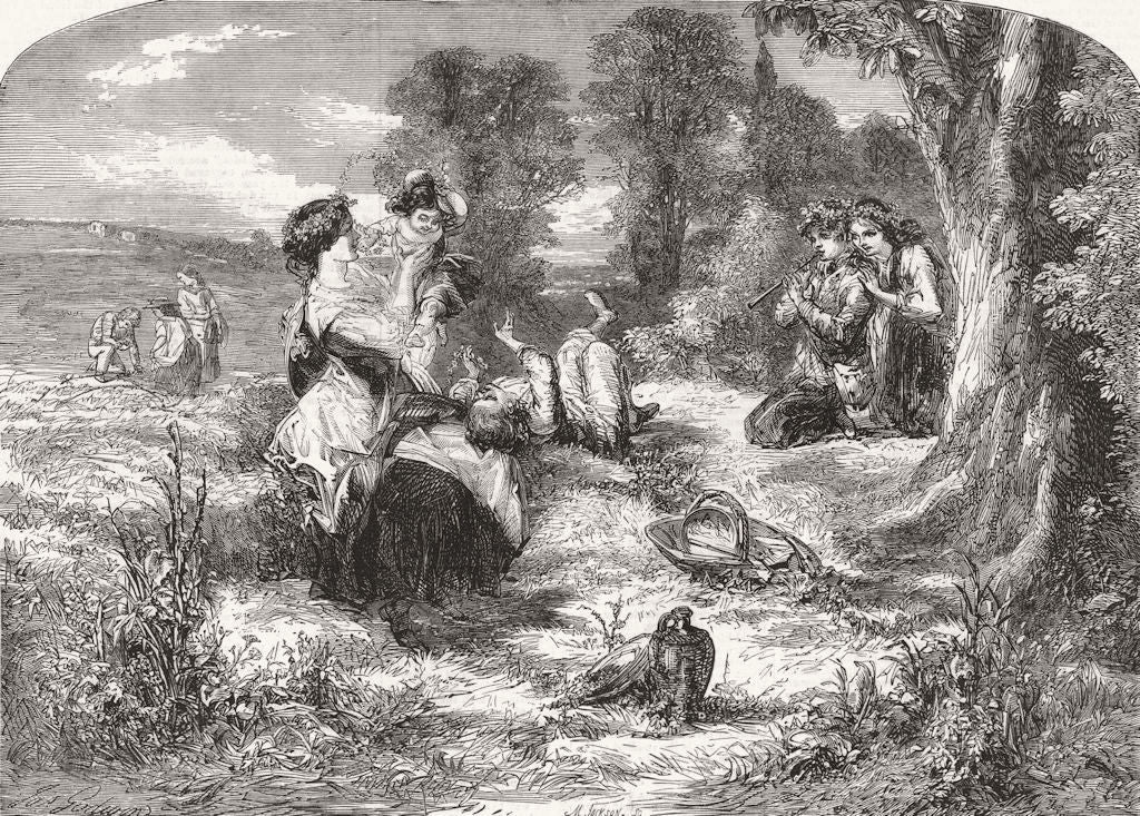 FAMILY. Buttercups and Daisies 1859 old antique vintage print picture
